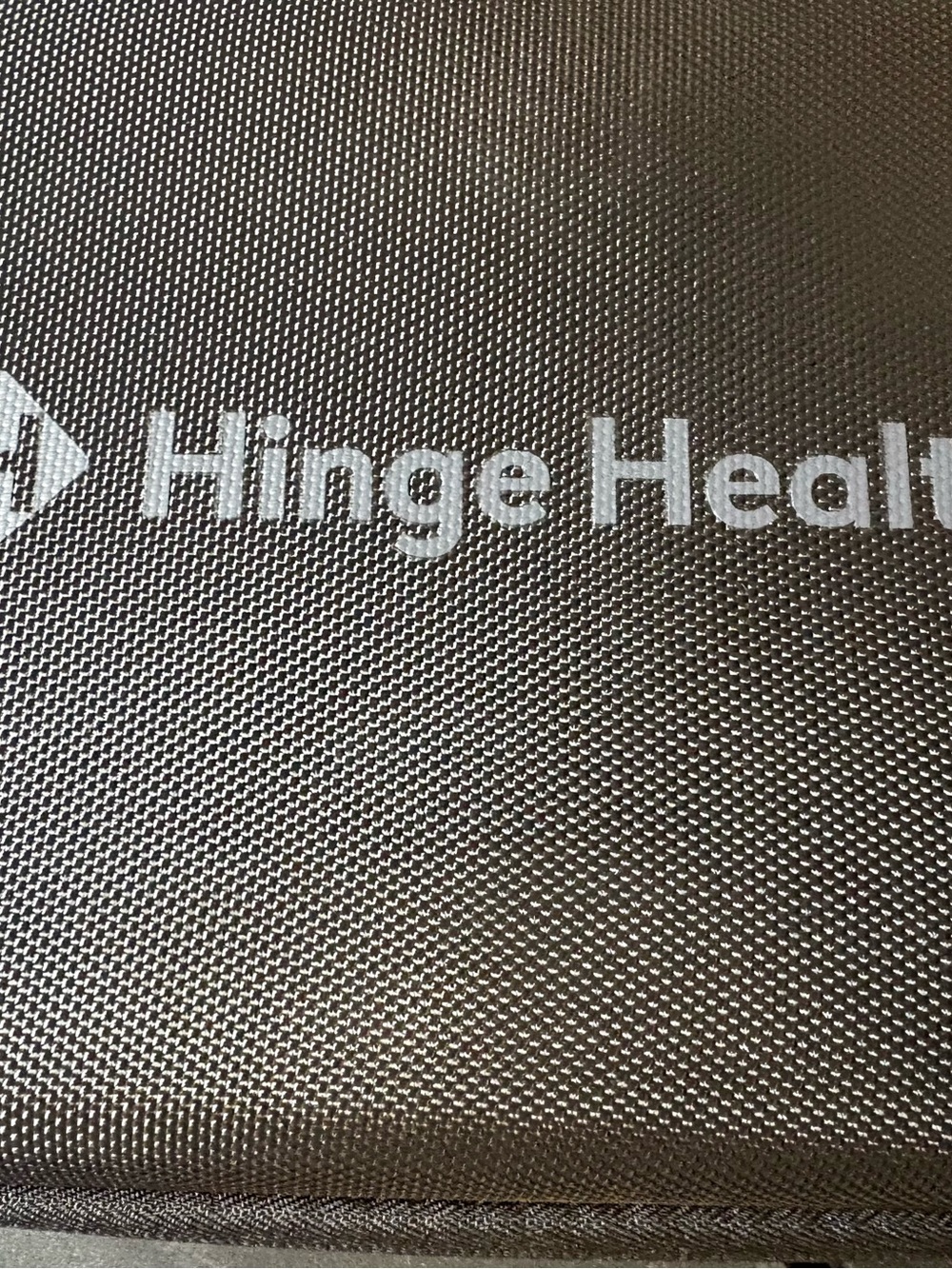 Hinge Health